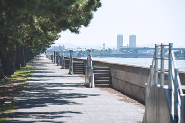 Wall Mural - 浜寺公園の風景