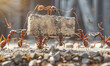 © IBEX.Media - A group of ants working together to carry a cement brick, symbolizing cooperation and teamwork