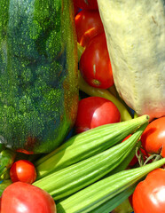 Wall Mural - A variety of different vegetables. zucchini, tomatoes, okra, beets...