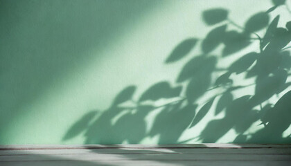 Poster - light background of shadows from plant leaves on a delicate light green lime wall, minimalistic background for the presentation of your products, stock wallpaper image template spring summer sun rays