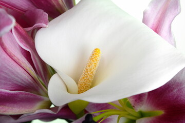 Canvas Print - Beautiful lily and White calla lilies bouquet isolated on white background