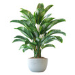 © fangphotolia - Bring the beauty of nature indoors with this lush and lifelike artificial floor plant.