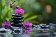 © Sandu - Purple orchids, black rocks, water, green leaves