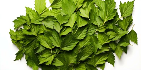 Wall Mural - Chopped dry parsley leaves seen from above on white background. Concept Food Photography, Culinary Art, Seasoning Close-up, Ingredients Perspective, Fresh Herbs View
