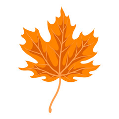 Sticker - Illustration of maple leaf. Decorative autumn foliage.