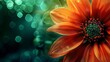 © Justlight - Brilliantly glowing flower centers against a dark verdant background