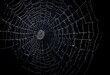 © aicha - A detailed spider web with intricate patterns against a dark background