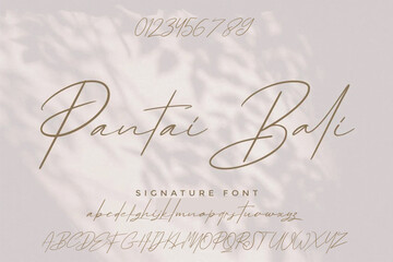 Wall Mural - signature Font Calligraphy Logotype Script Brush Font Type Font lettering handwritten