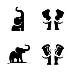 Wall Mural - elephant logo vector icon illustration design