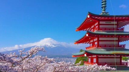 Wall Mural - 富士山と満開の桜　タイムラプス　山頂を流れる雲