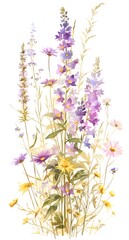 Wall Mural - wild medicinal meadow flowers and grass on white background, horizontal pattern, watercolor painting, realistic illustration