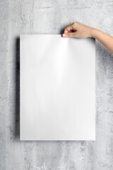 Wall Mural - Poster mockup png transparent, held by woman