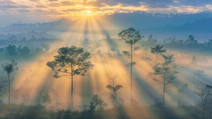 Poster - The sun breaking through dense fog at dawn, casting ethereal rays of light over a tranquil forest