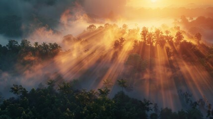 Poster - The sun breaking through dense fog at dawn, casting ethereal rays of light over a tranquil forest