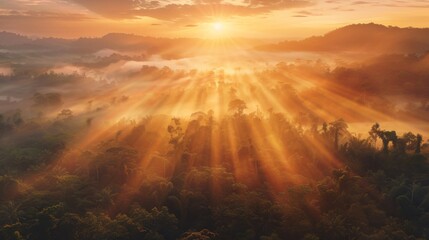 Poster - The sun breaking through dense fog at dawn, casting ethereal rays of light over a tranquil forest