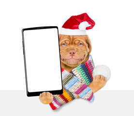 Poster - Happy mastiff puppy wearing red santa hat holds snowball above empty white banner. Isolated on white background