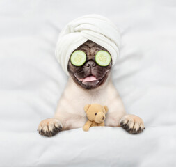 Leinwandbilder - Funny Pug puppy with towel on it head and with pieces of cucumber on it eyes relaxing on the bed at home with favorite toy bear. Top down view
