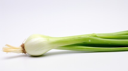 Leek Isolated on white background