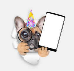 Aufkleber - French bulldog puppy wearing party cap looks thru a magnifying lens looks through a hole in white paper and holds big smartphone with white blank screen in it paw