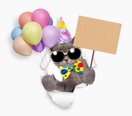 Aufkleber - Cute kitten wearing tie bow and party cap looking through the hole in white paper, holding balloons and showing blank placard