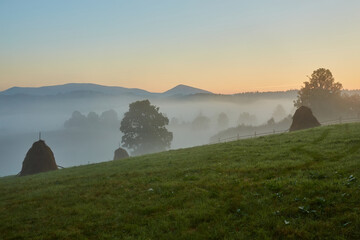 Wall Mural - View of the forest from the mountain. Fog.