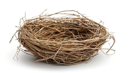 Wall Mural - a birds nest Isolated on white background. concept of object nature for designer.