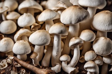 Wall Mural - A bunch of white mushrooms are on a table