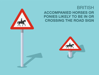 Wall Mural - Traffic regulation rules. Isolated British 