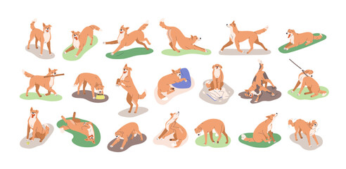 Poster - Dog behavior, canine activities set. Doggy playing, training, feeding, running, sleeping. Pet animals life, different poses, stances, actions. Flat vector illustrations isolated on white background