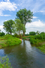 Beautiful village landscape with a quiet river, trees on the bank, bright blue sky with clouds