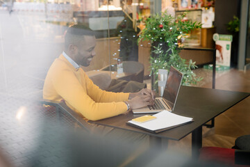 Wall Mural - Happy man using laptop in a cafe