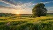 © Momin - Gorgeous colorful rustic pastoral scenery vista of summer. At sunrise or sunset, tall blossoming grass on a verdant meadow makes a stunning declaration against a clear blue sky.