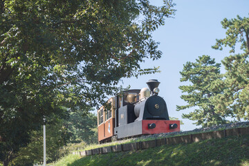 Poster - 浜寺公園の風景