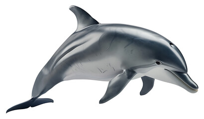 A dolphin isolated on a transparent background PNG