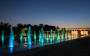 Wall Mural - 浜寺公園の夜景