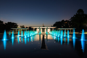 Canvas Print - 浜寺公園の夜景