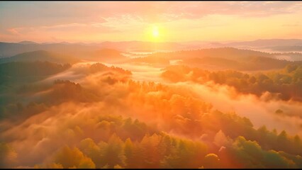 Poster - An aerial view of a scenic natural landscape. Sunrise through the misty forest. Golden sunset over the mountains. Flying over green trees, country fields, and the sun rising above the horizon.