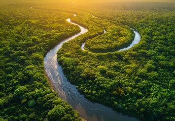 Sticker - An aerial view of a winding river cutting through a dense forest, bathed in golden sunlight. This stunning landscape is perfect for environmental, travel, and nature-themed stock photography.