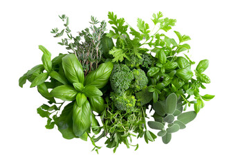 Fresh herbs isolated on transparent background