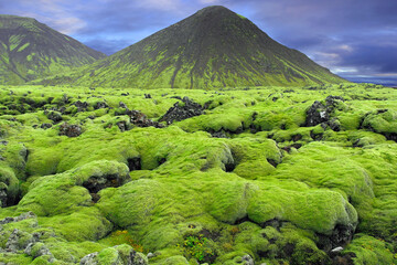 Icelandic landscape 