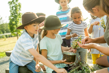 School children learning, how to prepare a chamomile infusion