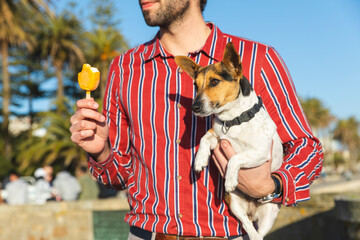 Wall Mural - Young man with dog on his arm eating ice lolly, partial view