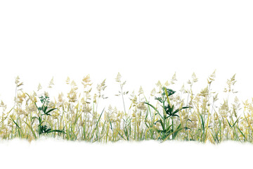 Meadow grass row prairie cutout transparent background