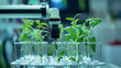 © Furkan - Business and innovative agriculture. Artificial intelligence-supported robot arm tries to increase efficiency on plants in the laboratory. Robot arm operated in the laboratory to increase productivity
