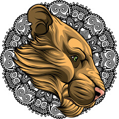 Wall Mural - Lion head colorful hand draw vector illustration