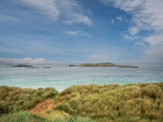 Wall Mural - Tall green grass on a sand dune and amazing tropical blue color ocean water and blue cloudy sky. Stunning Glassilaun Beach in Connemara, Ireland. Travel and tourism. Nobody.