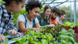 © Daniel - group of young school teenager learning plant vegetable nursery agriculture farm gardening in greenhouse