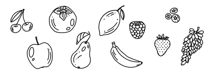 Set of fruits, juicy summer, hand drawn doodle, line drawing, vector illustration