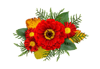 Wall Mural - Autumn composithion with zinnia, chrysanthemum flowers and seasonal leaves isolated on white or transparent background