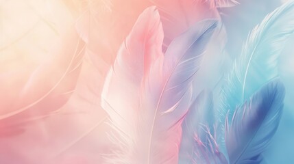 Wall Mural - soft pastel feathers in shades of pink and blue create a delicate, dreamy abstract background. perfe
